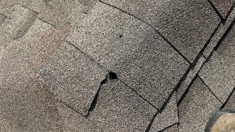Common Causes Of Asphalt Damage That Require Repair Or Patching